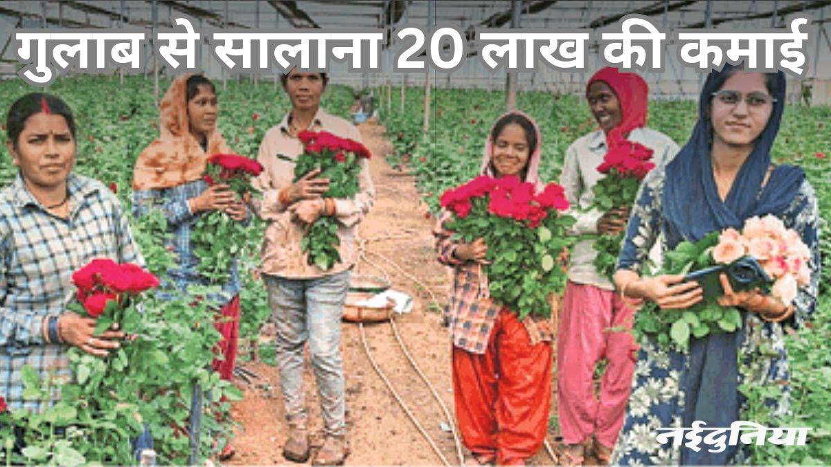 Chhattisgarh News: गुलाब की खेती से युवाओं को प्रेरणा, पत्नी के हौसले ने बदल दी किस्मत