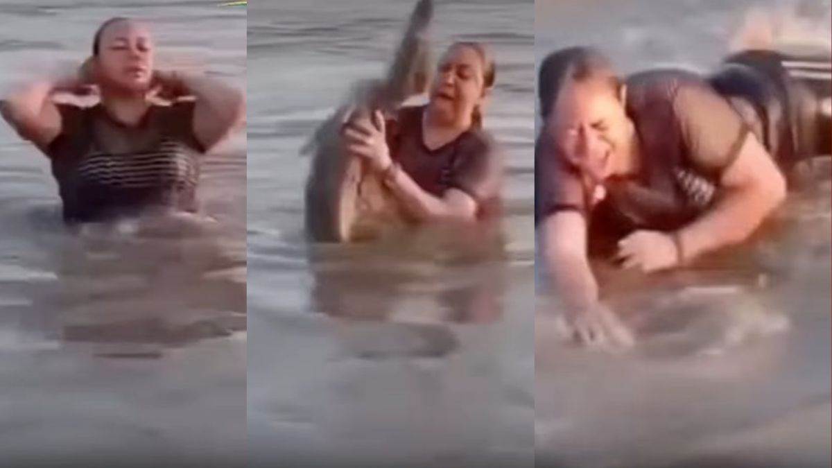 नदी में मजे से नहा रही थी लड़की, डुबकी लगाते ही हाथ में आ गया मगरमच्छ... फिर जो हुआ देख दहल जाएंगे आप; VIDEO