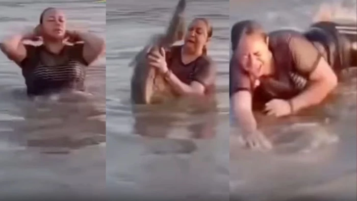 नदी में मजे से नहा रही थी लड़की, डुबकी लगाते ही हाथ में आ गया मगरमच्छ... फिर जो हुआ देख दहल जाएंगे आप; VIDEO