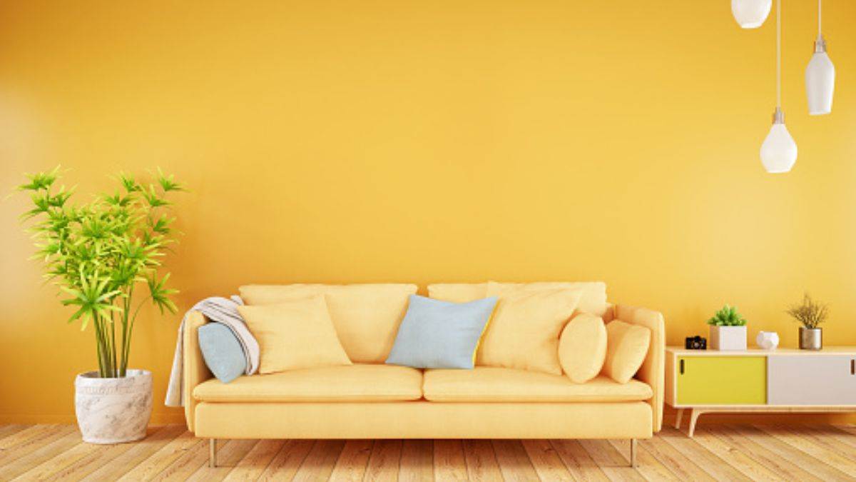 Yellow Colour Vastu घर की इस दिशा में बिल्कुल न करवाएं पीला रंग, धन