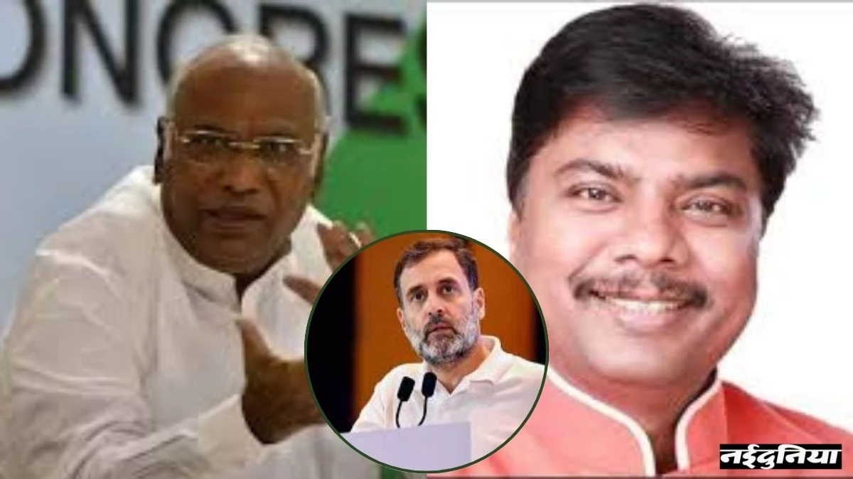 'राहुल गांधी का विदेश में न घर है न ससुराल, फिर क्यों जाते हैं बार बार'... छत्तीसगढ़ के भाजपा नेता ने क्यों साधा निशाना, पढ़िए पूरी बयानबाजी
