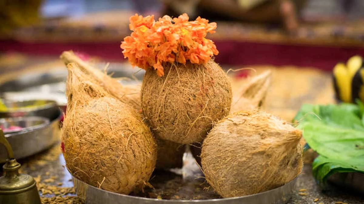 Nariyal Rate: श्रावण से पहले महंगा हुआ नारियल, रक्षाबंधन तक 40 रुपये नग बिकने के आसार