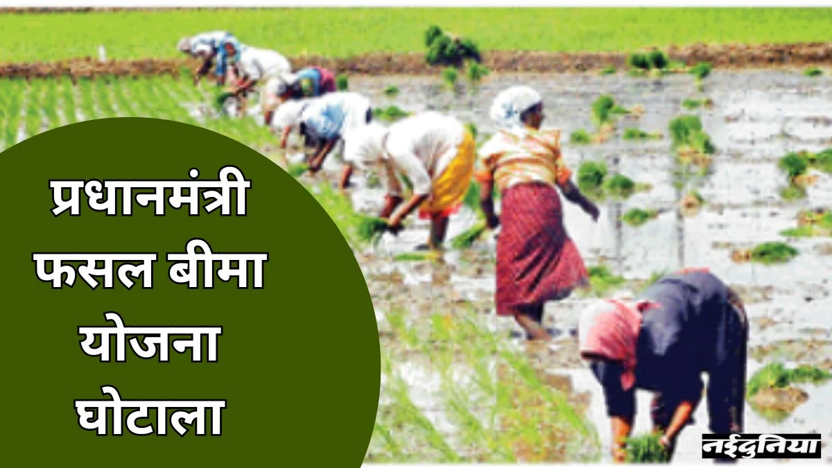 PM Fasal Bima Yojana: किसानों को हुआ है 636 करोड़ का नुकसान, जांच के नाम पर 4 साल चला कागजों पर खेल, मगर कोई नतीजा नहीं