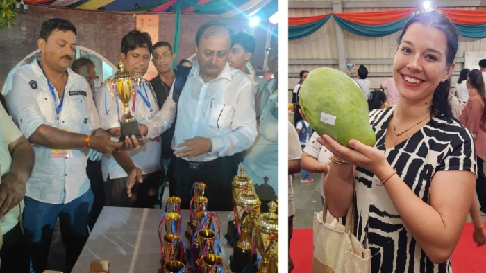आलीराजपुर के ‘नूरजहां’ को दिल्ली मैंगो फेस्टिवल-2026 में मिला बिगेस्ट मैंगो अवॉर्ड, बना देश का सिरमौर