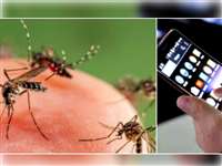 Tech News: मच्छर-मक्खियों ने कर दिया परेशान, डाउनलोड करें ये App, दिखेगा असर