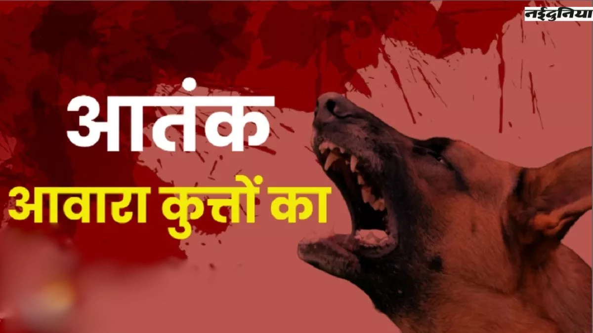 आवारा कुत्तों का आतंक... बाड़ी में खेल रही 9 साल की बच्ची पर किया हमला, लगाने पड़े 25 टांके