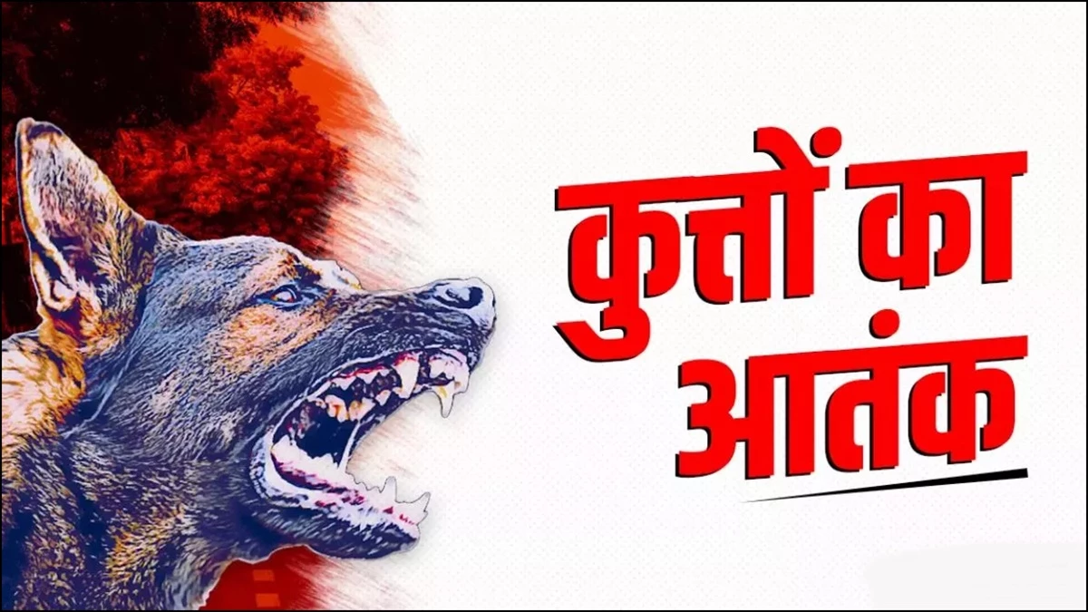 मध्य प्रदेश के भोपाल में डॉग बाइट्स के सबसे कम मामले, रतलाम में सबसे ज्यादा