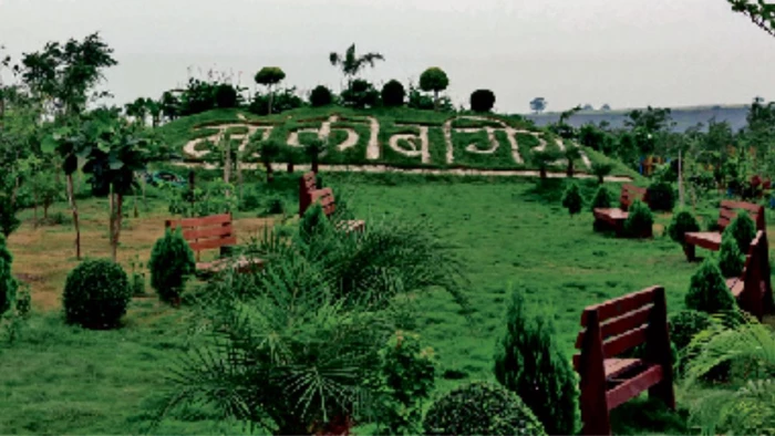 इंदौर में पौधे से पेड़ बने 12 लाख वृक्षों की होगी गिनती, आज 51 हजार पौधे और रोपेंगे