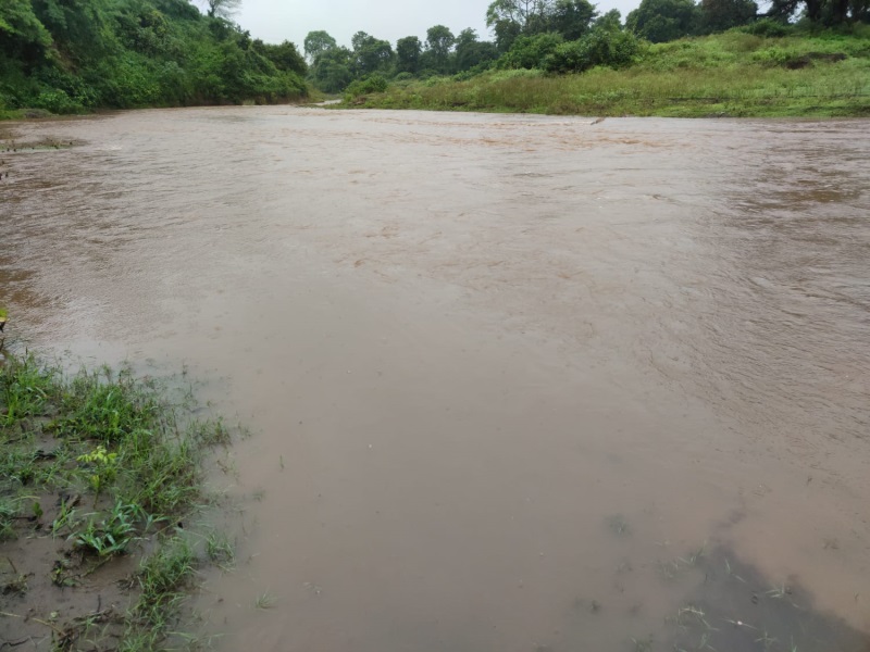 Rain in Betul रातभर चला झमाझम का सिलसिला ताप्ती माचना नदी उफान पर