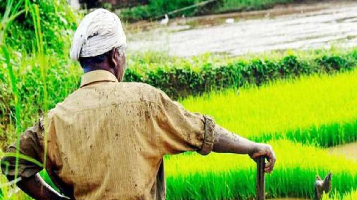 CM Kisan Yojana: किसानों को सरकार ने दिया बड़ा तोहफा, पीएम किसान के अलावा इस योजना में मिलेगा चार हजार रुपये, पढ़ें आवेदन प्रक्रिया