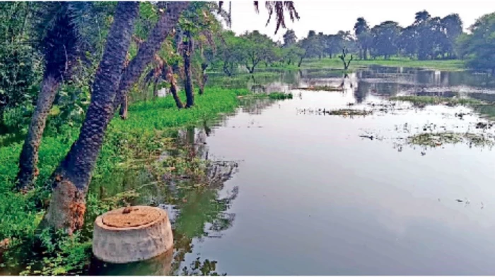 बड़े तालाब के पानी के नीचे मिली सीवेज लाइन, भारत भवन के पास 50 मीटर में हो रहा पक्का निर्माण, NGT ने लिया संज्ञान