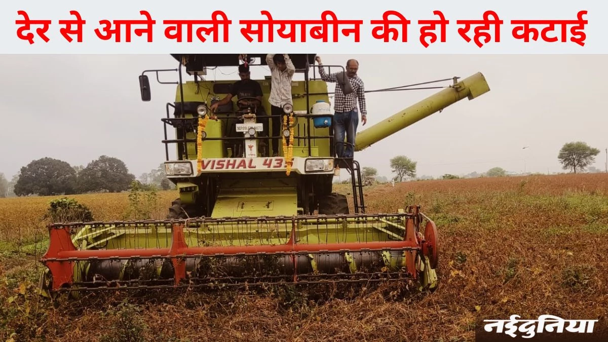 Agriculture Innovation: जब सब जिलों के किसान हैं परेशान, तब धार के किसानों के चेहरे पर मुस्कान