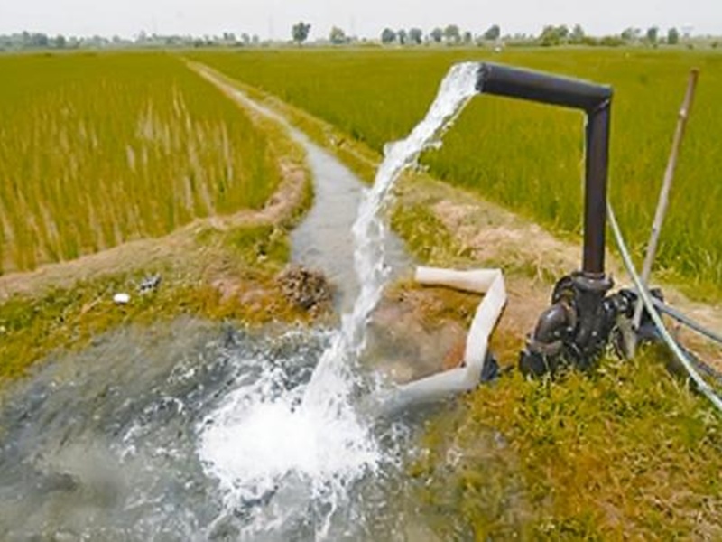 Raipur News: छत्तीसगढ़ में रबी फसलों की सिंचाई के लिए पानी देगी सरकार ...
