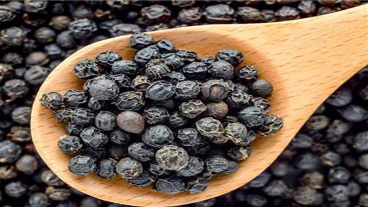 Black Pepper Remedy: क्या आप जानते हैं काली मिर्च से धन प्राप्ति के ये अचूक उपाय