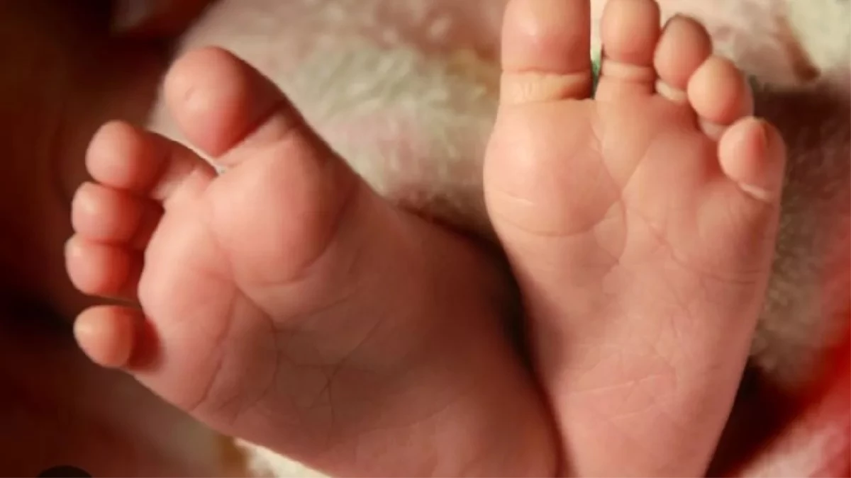 ट्रायसिकल ने ली दो साल के बच्चे की जान... मुंह के बल गिरने से लगी थी अंदरुनी चोट