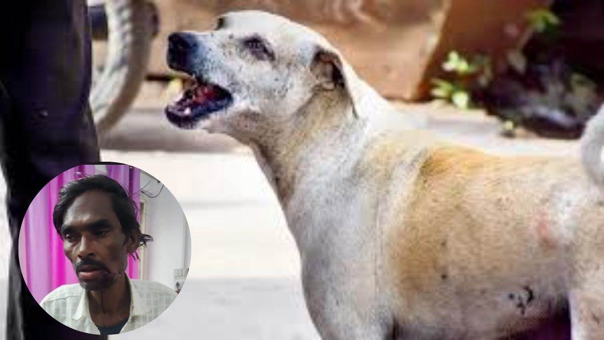 शिवपुरी में पागल कुत्ते ने दो घंटे में डेढ़ दर्जन लोगों को काटा, ग्रामीणों ने ट्रैक्टर चढ़ाकर किया आतंक का अंत