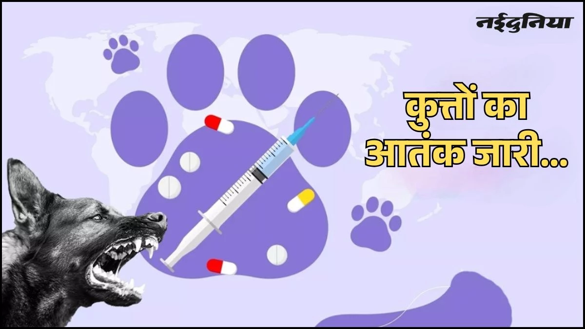 MP के नीमच में अब तक 550 से अधिक कुत्तों का वैक्सीनेशन, लेकिन समस्या जस की तस, नागरिक परेशान