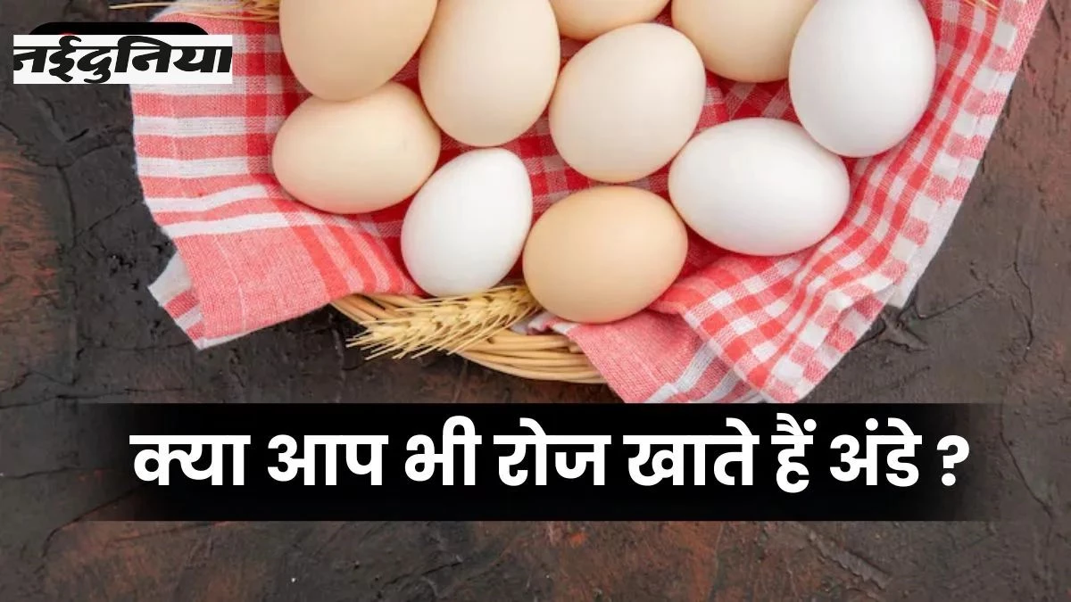 सिर्फ एक महीने में दिखेगा फर्क! रोज अंडा खाने से शरीर में क्या होता है, जानें यहां