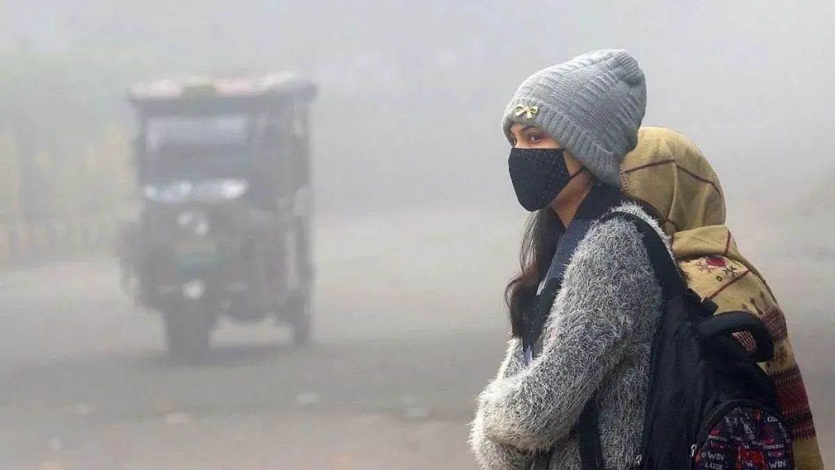 Cold Wave Alert: MP-राजस्थान में शीतलहर तो ऊटी में जमीं ओस... CG-हरियाणा सहित इन राज्यों में बढ़ी ठंड