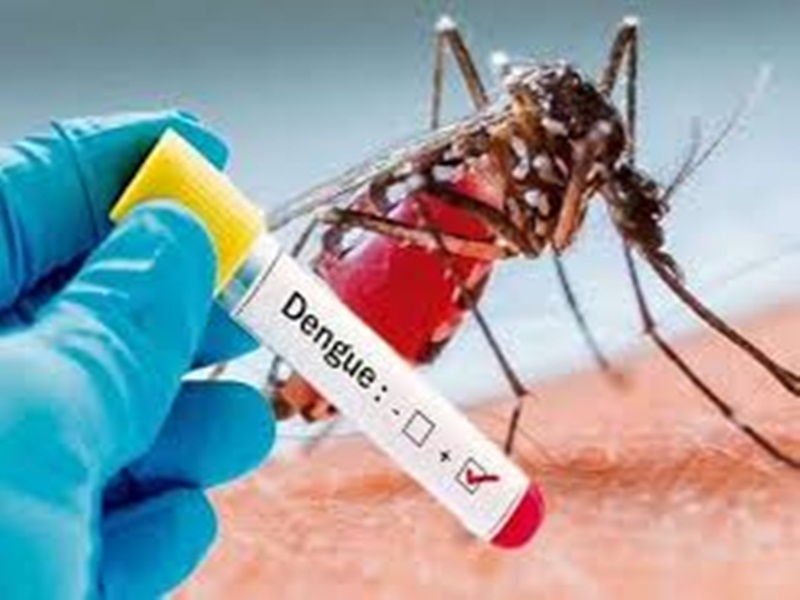 ग्‍वालियर में थमने लगा डेंगू, 10 में से 6 ग्वालियर के मरीज, 6 बच्चे पीड़ित