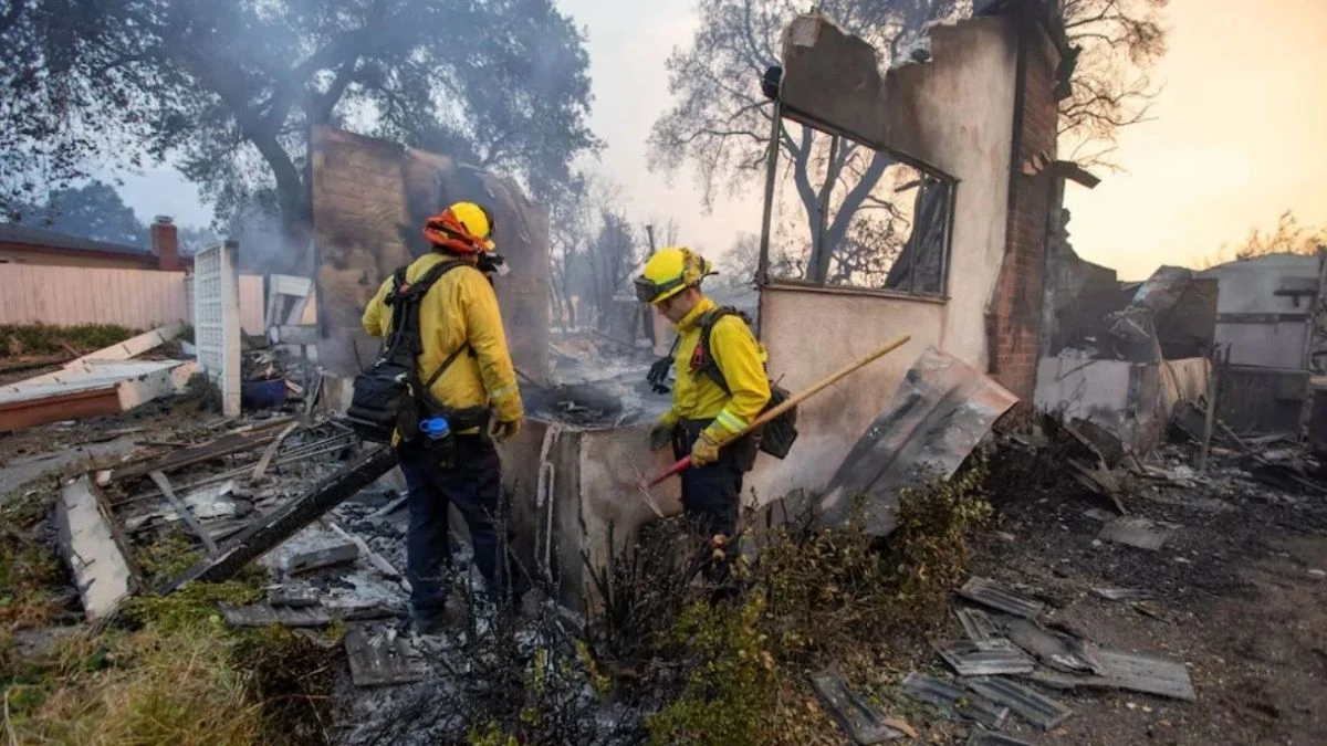 Los Angeles Wildfires: LA में आग मचा रही तबाही... 10 लोग मरे, लूटपाट के बाद लगा कर्फ्यू; पढ़ें अपडेट