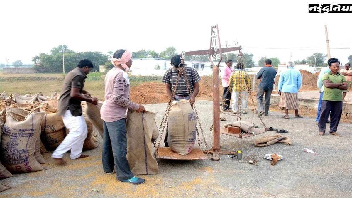 CG में धान खरीदी पर संकट, टोकन बंद होने से किसानों का हल्लाबोल, भूपेश बघेल ने सरकार को घेरा