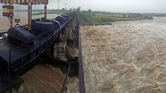 इंदौर में प्रकृति से छेड़छाड़... तालाबों के पानी से बिजली बनाने की तैयारी, खतरे में पक्षियों का आवास