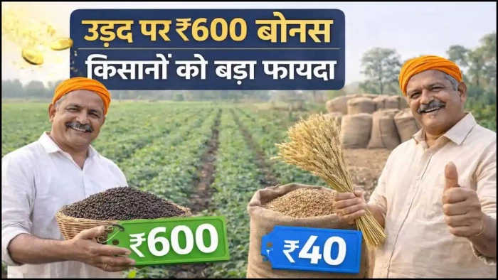 MP बना उड़द की खरीद पर बोनस देने वाला पहला राज्य, ₹600 प्रति क्विंटल किसानों को मिलेगा बोनस