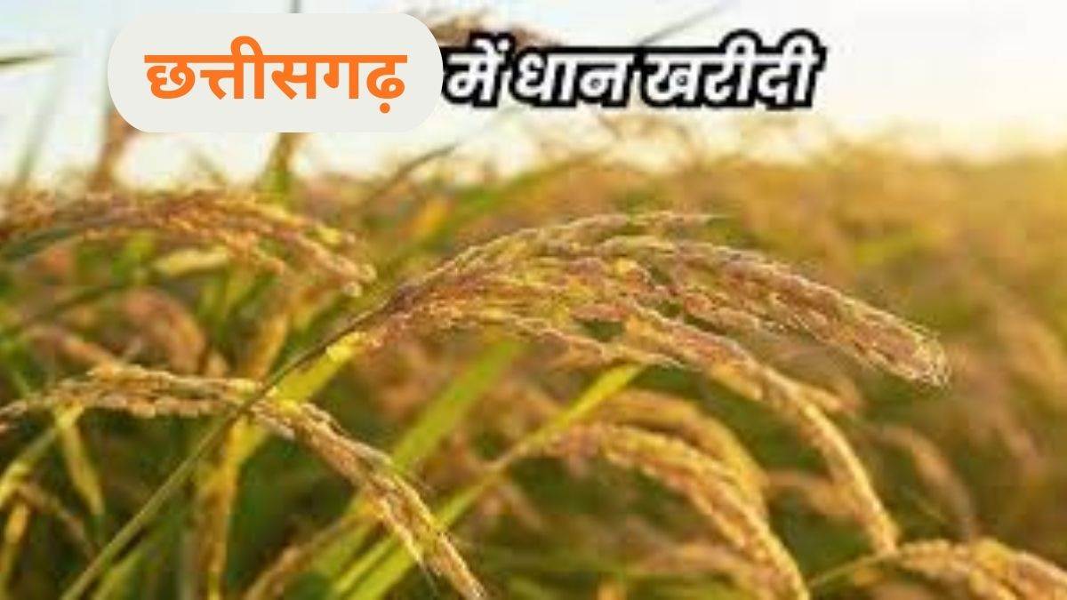 बस्तर के 44 हजार किसान नहीं बेच पाए धान