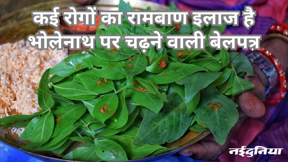 सुबह खाली पेट बेलपत्र खाने के फायदे जानकर दंग रह जाएंगे आप, कुछ लोगों के लिए तो ये है वरदान