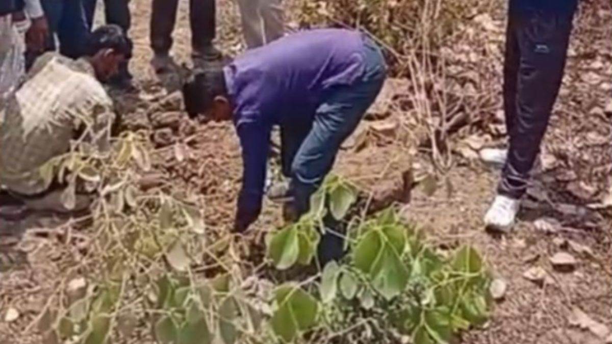 सागर में मासूम की मौत पर सस्पेंस: पिता ने चुपचाप दफनाया, पुलिस ने कब्र से निकाला तीन साल की बच्ची का शव