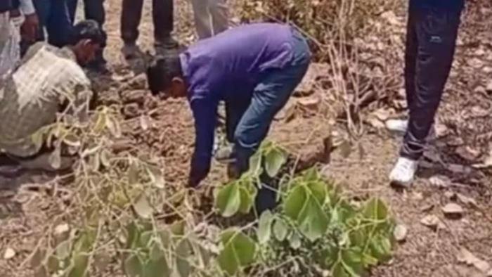 सागर में मासूम की मौत पर सस्पेंस: पिता ने चुपचाप दफनाया, पुलिस ने कब्र से निकाला तीन साल की बच्ची का शव