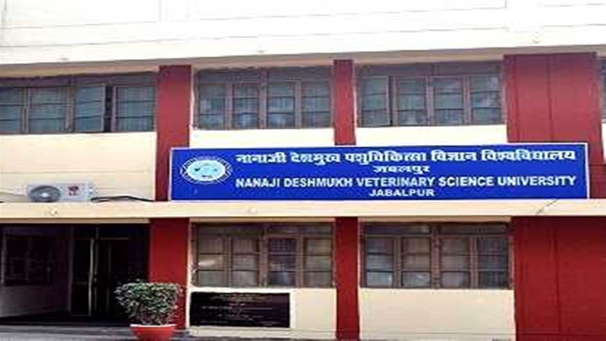 जबलपुर ब्रेकिंग : नानाजी देशमुख वेटरनरी विश्वविद्यालय में 3.5 करोड़ का घोटाला आया सामने