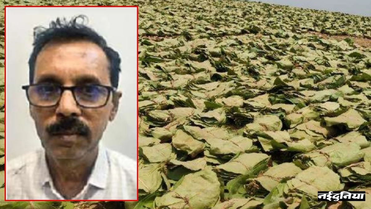 तेंदूपत्ता बोनस घोटाला: 7 करोड़ की प्रोत्साहन राशि गबन करने वाला एक और प्रबंधक गिरफ्तार, EOW ने 12 को भेजा जेल