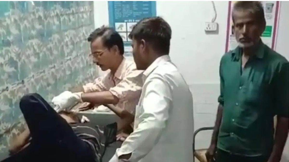 विदिशा : शौचालय नहीं था तो खदान पर गया था मासूम, 4 आवारा कुत्तों ने किया जानलेवा हमला; सिर में गड़ाए दांत