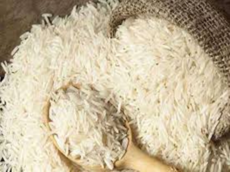 Basmati Rice GI Tagging सुप्रीम कोर्ट में सुनवाई के लिए सरकार ने