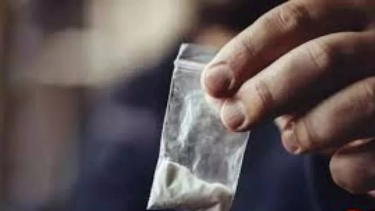 Raipur Drugs Case: पुलिस के हत्थे चढ़े ड्रग्स तस्करों के दो कूरियर बॉय, पाकिस्तान से जुड़े हैं सिंडिकेट के तार