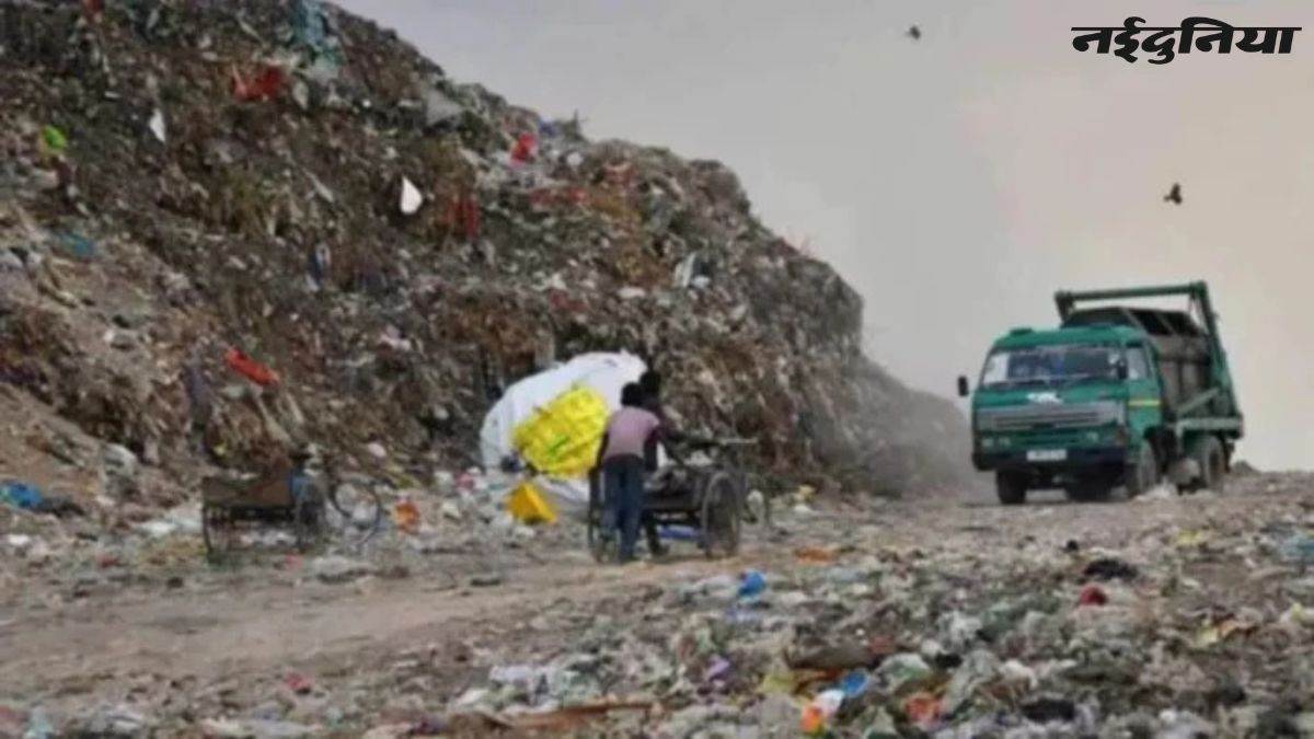 छत्तीसगढ़ के सभी जिला कलेक्टरों को 7 दिन की मोहलत… 4 माह बाद भी नहीं मिली है कचरा प्रबंधन की ऑडिट रिपोर्ट
