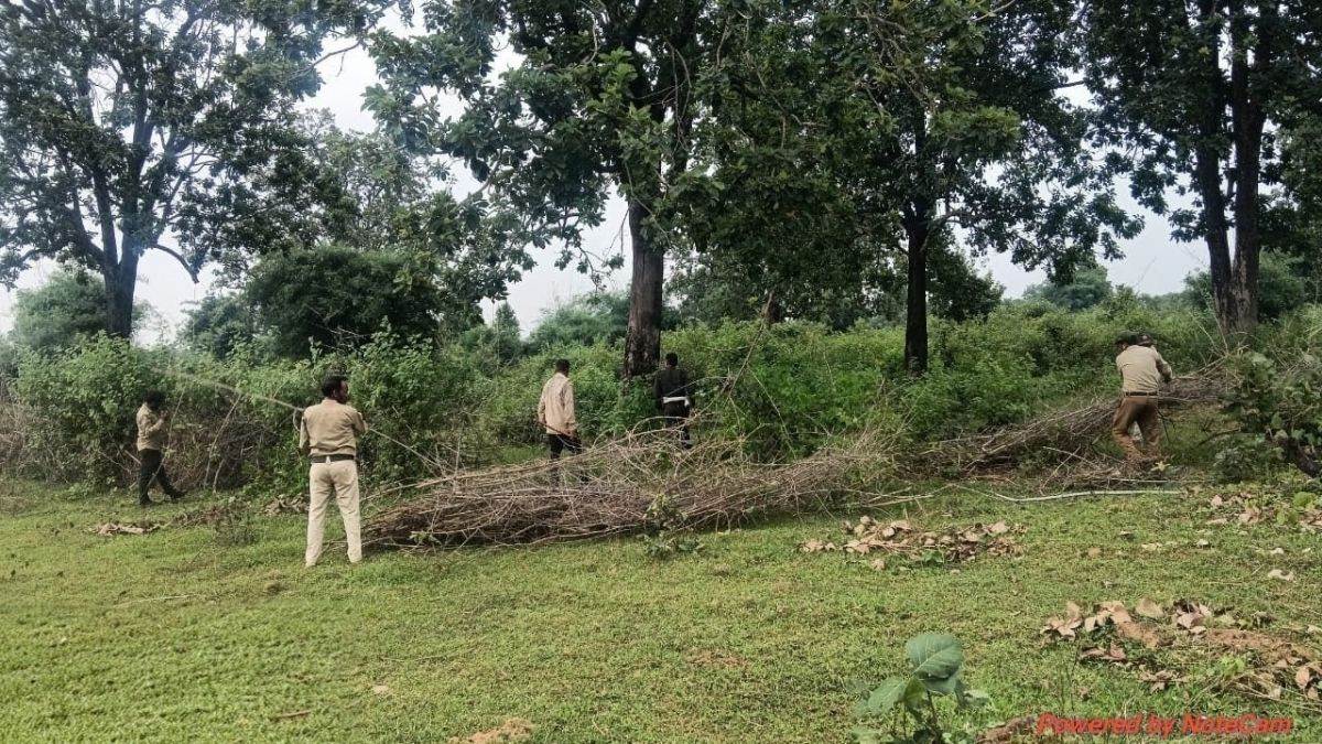 बांधवगढ़ टाइगर रिजर्व के मानपुर बफर में क्षेत्र अतिक्रमण मुक्‍त, वनकर्मियों ने निर्माण हटवाए