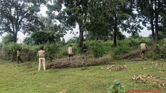 बांधवगढ़ टाइगर रिजर्व के मानपुर बफर में क्षेत्र अतिक्रमण मुक्त, वनकर्मियों ने निर्माण हटवाए