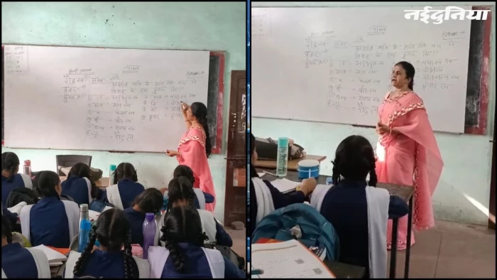 हिंदी में अब नहीं कटेंगे नंबर... 9 रसों को याद करने का रायपुर की शिक्षिका ने बनाया अनोखा फॉर्मूला