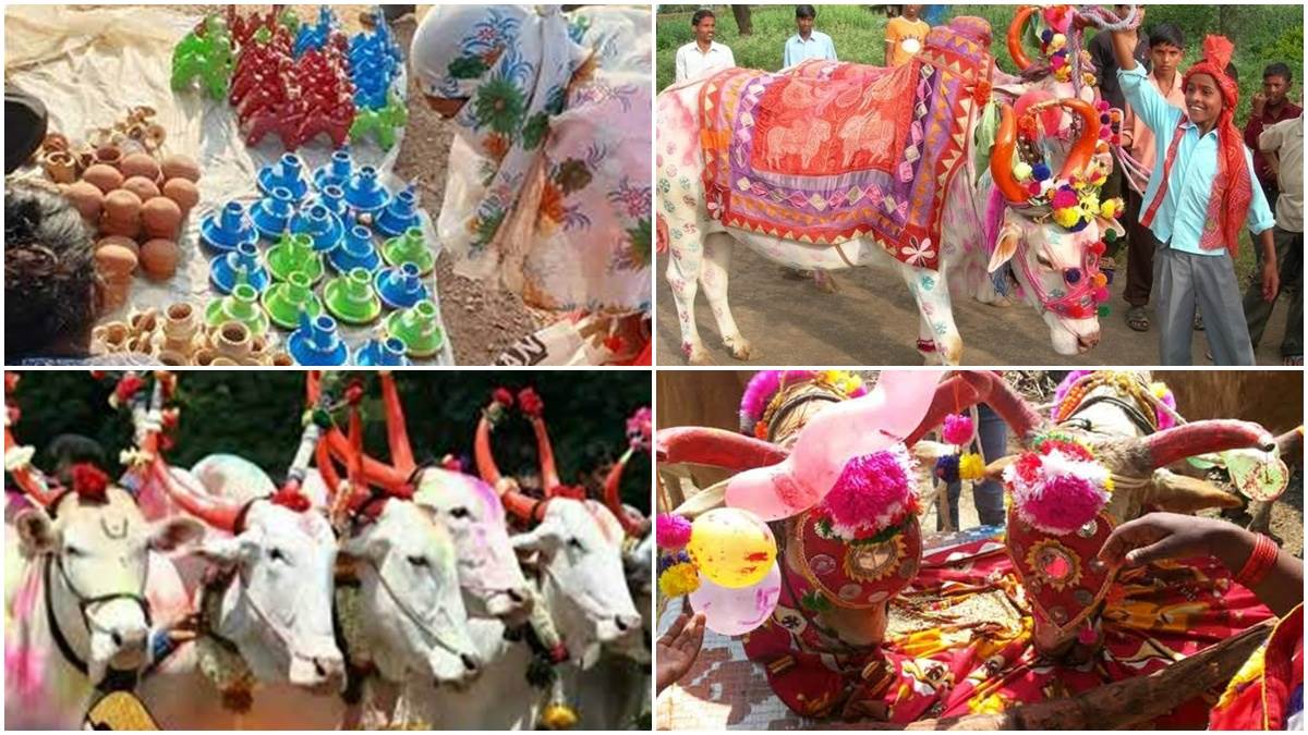 आज मनाया जा रहा है पोला पर्व, बैलों को तिलक, घर-आंगन में पकवान, आखर में होगी पूजा