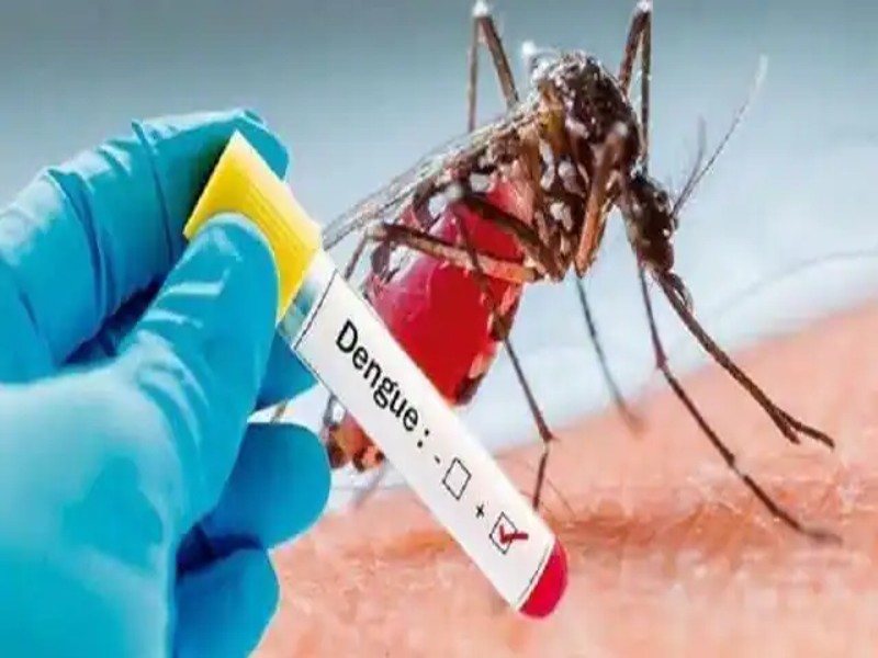 Dengue Alert: क्या एक बार डेंगू होने के बाद दोबारा हो सकता है, जानिए लक्षण व बचाव के टिप्स