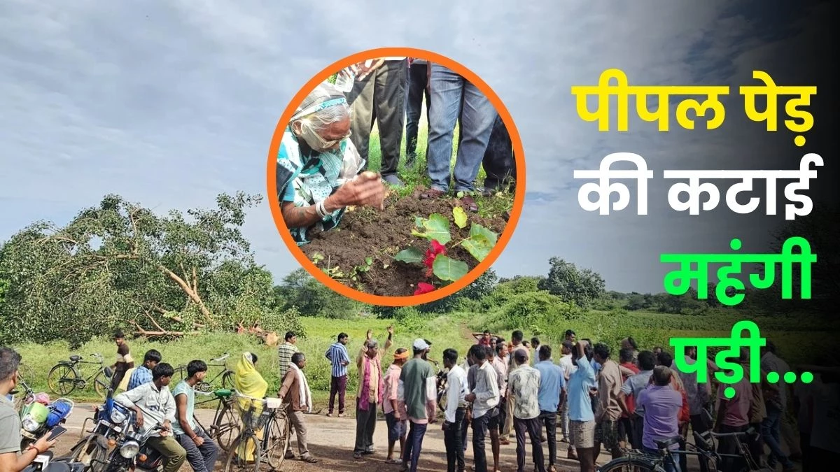 पीपल पेड़ काटना पड़ा महंगा... जिसे 25 साल आस्‍था से सींचा उसकी कटाई पर फूट-फूट कर रोई देवला बाई, दो आरोपी भेजे गए जेल