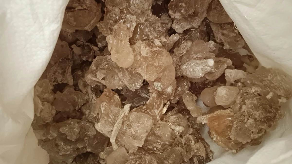 naidunia