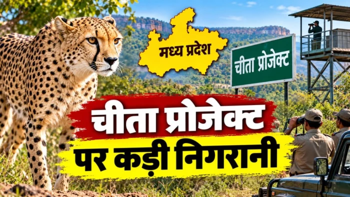 एमपी में चीता प्रोजेक्ट की कड़े स्तर पर होगी निगरानी, सरकार ने गठित की राज्य स्तरीय टास्क फोर्स, मुख्यमंत्री ने दी मंजूरी