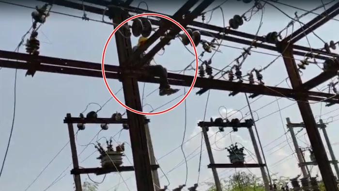 सतना जिले में नौकरी से हटाने पर पोल पर चढ़ा ऑपरेटर, बंद करनी पड़ी सैकड़ों गांवों की बिजली