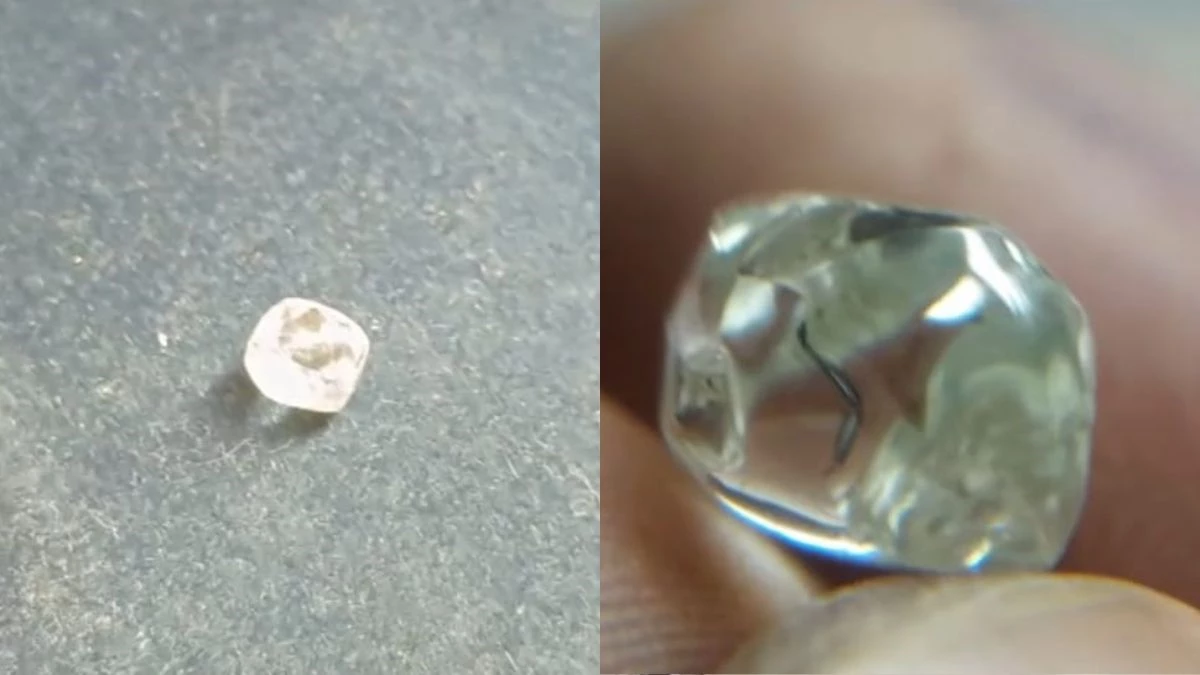 पन्ना में लकवाग्रस्त किसान की चमकी किस्मत, मिला 3.39 कैरेट का हीरा, जानें इसकी अनुमानित कीमत