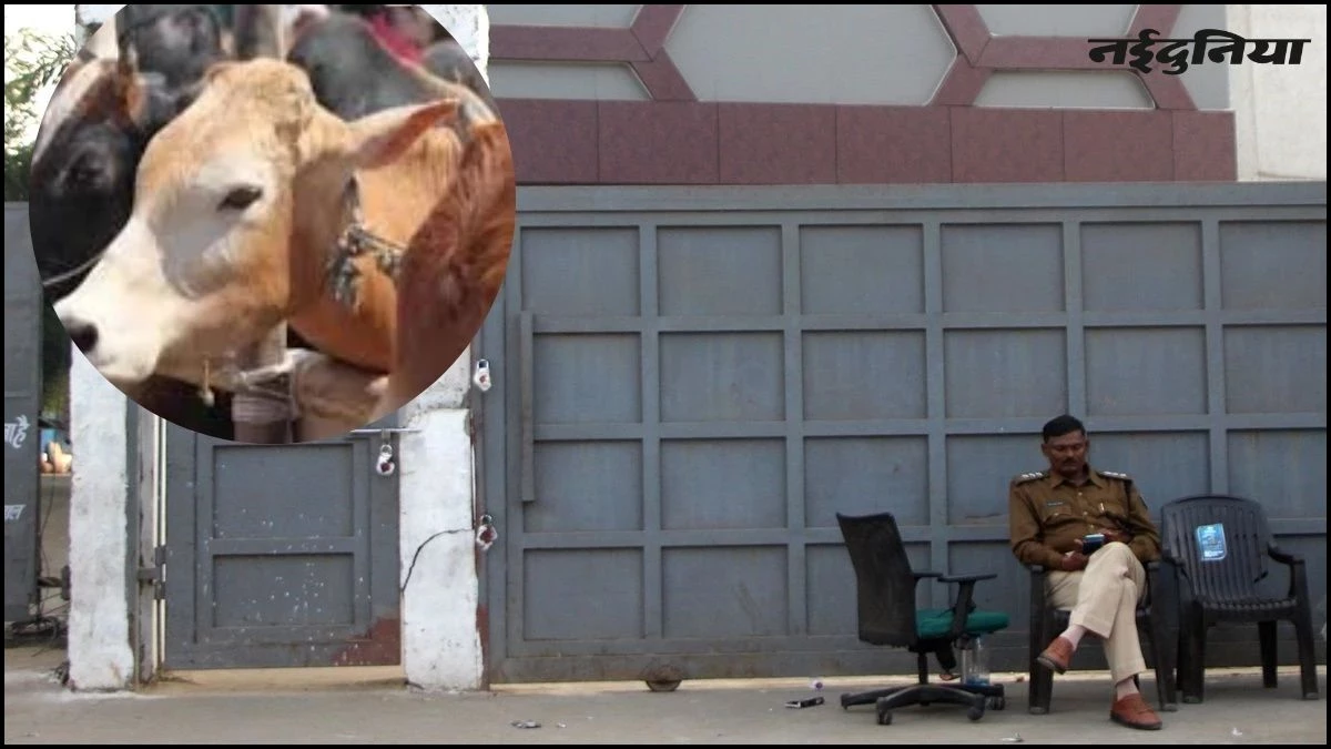 भोपाल स्लाटर हाउस केस: मानवाधिकार आयोग ने पुलिस की रिपोर्ट को नकारा, रोहिंग्याओं को बसाने के आरोपों पर मांगी नई रिपोर्ट