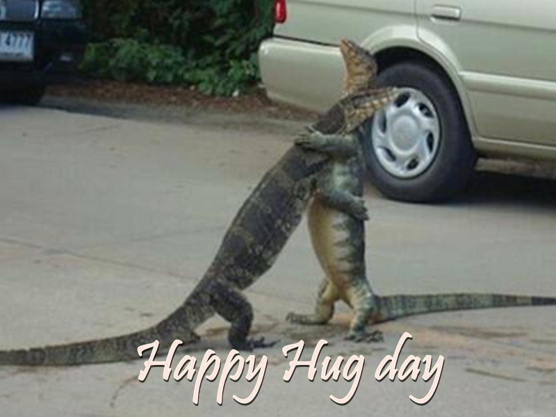 Hug Day 2020: कुछ इस अंदाज में भी Singles मन रहे Hug Day वायरल हो रही यह  Funny तस्वीरें और ट्वीट्स - Happy Hug Day 2020: Funny images and tweets  being shared